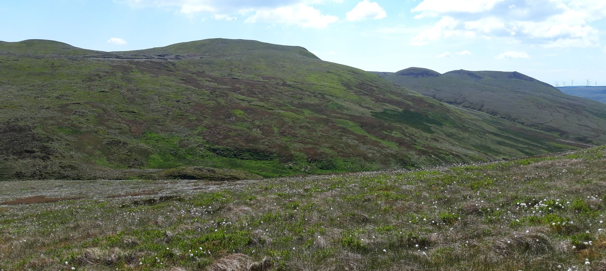 Irish Law and Knockside Hills from Feuside Hill